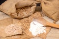 Wheat grains, bran and flour. Royalty Free Stock Photo