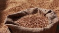 wheat grains are falling on pile in bindle bag after agricultural activity. Harvest time. Grain elevator, agrarian