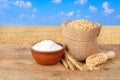 Wheat grains and flour on wheat field background Royalty Free Stock Photo