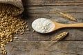 Wheat grains and wheat flour in wooden spoon with spikes or ears on rustic wooden background Royalty Free Stock Photo