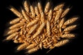 Wheat Grains Isolated, Barley Pile, Dry Cereal Seeds for Bread, Spelta Healthy Organic Food, Wheat Grains Royalty Free Stock Photo