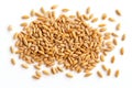 Wheat Grains Isolated, Barley Pile, Dry Cereal Seeds for Bread, Spelta Healthy Organic Food, Wheat Grains Royalty Free Stock Photo