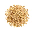 Wheat grains isolated on white background, top view Royalty Free Stock Photo