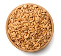 wheat grains isolated on white background. top view Royalty Free Stock Photo