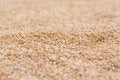 Wheat Grains Stack Closeup Royalty Free Stock Photo