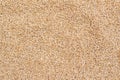 Wheat Grains Stack Closeup Royalty Free Stock Photo