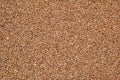 Wheat grains texture Royalty Free Stock Photo