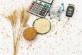 Wheat grains, wheat flour and wheat ears with weight scale and tools on white background Royalty Free Stock Photo