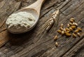 Wheat grains and wheat flour in wooden scoop or shovel with spikes or ears on rustic wooden background Royalty Free Stock Photo