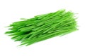 Wheat grass Royalty Free Stock Photo