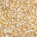 Wheat groats crushed hulled wheat grains closeup