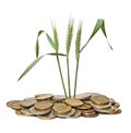 Wheat growing from coins Royalty Free Stock Photo