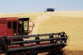 Wheat harvest 22 Royalty Free Stock Photo