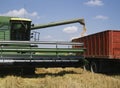 Wheat Harvest