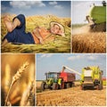 Wheat harvest - collage Royalty Free Stock Photo