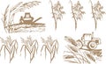 Wheat, harvest and machinery