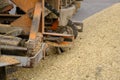 Wheat, after harvest. Whole grain for flour products. Automatic food loading.