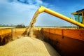 Wheat harvesting combine