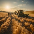 Wheat harvesting with combine harvester and tractor.generative ai Royalty Free Stock Photo