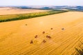 Wheat harvesting process. Combines work in the field. Royalty Free Stock Photo