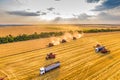 Wheat harvesting process at sunset. Combines work in the field Royalty Free Stock Photo