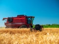 Wheat harvesting in the summer. Red harvester working in the field. Golden ripe wheat harvest agricultural machine harvester on