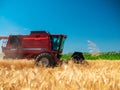 Wheat harvesting in the summer. Red harvester working in the field. Golden ripe wheat harvest agricultural machine harvester on