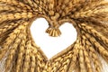 Wheat Heart. Heart shape made of golden wheat stems isolated on white background Royalty Free Stock Photo