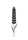 Wheat icon. Black silhouette wheats isolated on white background. Malt beer. Wheat ear. Barley or corn flour print design. Millets