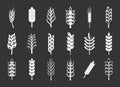 Wheat icon set grey Royalty Free Stock Photo