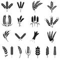 Wheat icon vector set. Cereals illustration sign collection. Harvest symbol. Farm logo. Royalty Free Stock Photo