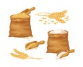 Wheat. A large set with an image of wheat in a bag, a wheat ear and wheat flour in a bag. Cereals, vector illustration Royalty Free Stock Photo