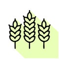 Wheat line icon, vector pictogram of cereals