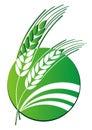 Wheat logo