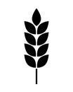 Wheat logo. Icon bakery. Spike wheat. Bread grain isolated on background. Stalk oat, barley, corn, rye, malt, bran, millet, maize,