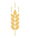 Wheat logo. Icon bakery. Spike wheat. Bread grain isolated on background. Stalk oat, barley, corn, rye, malt, bran, millet, maize,