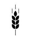 Wheat logo. Icon bakery. Spike wheat. Bread grain isolated on background. Stalk oat, barley, corn, rye, malt, bran, millet, maize,