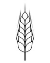 Wheat logo. Icon bakery. Spike wheat. Bread grain isolated on background. Stalk oat, barley, corn, rye, malt, bran, millet, maize, Royalty Free Stock Photo