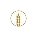 Wheat logo template vector Royalty Free Stock Photo