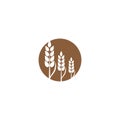 Wheat Logo Template vector symbol Royalty Free Stock Photo