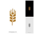 Wheat Luxury Grain and bread labels. Nature wheat. Agriculture wheat Logo Template Vector