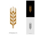 Wheat Luxury Grain and bread labels. Nature wheat. Agriculture wheat Logo Template Vector