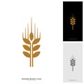 Wheat Luxury Grain and bread labels. Nature wheat. Agriculture wheat Logo Template Vector