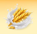 Wheat and milk splash. 3d vector icon