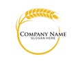 wheat nettle grain in circle shape vector logo design Royalty Free Stock Photo