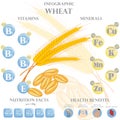 Wheat nutrition facts and health benefits infographic