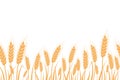 Wheat, oat, rye or barley field silhouette seamless. Cereal plant border, agricultural landscape with golden spikelets