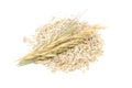 Wheat, Oat And Rye Flakes with Ears Royalty Free Stock Photo