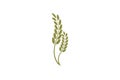 Wheat oats logo