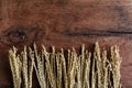 Wheat on old wood background